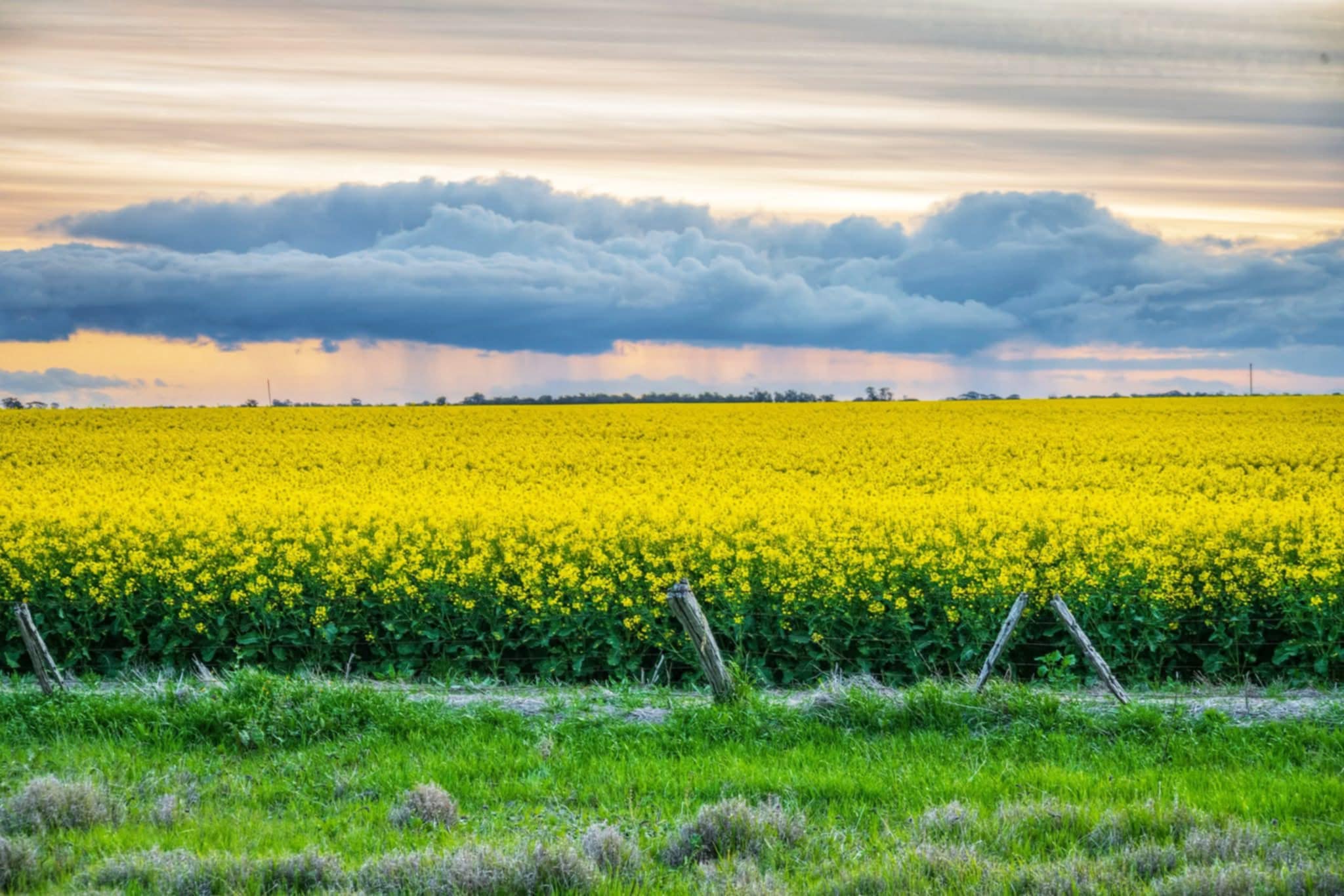 Infrastructure project contractors